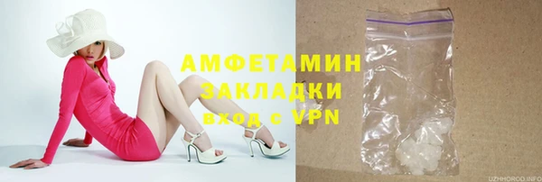 ГАЛЛЮЦИНОГЕННЫЕ ГРИБЫ Гусь-Хрустальный