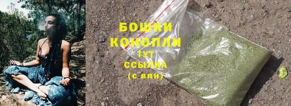 ГАЛЛЮЦИНОГЕННЫЕ ГРИБЫ Гусь-Хрустальный