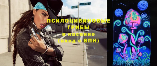 эйфоретик Гусев