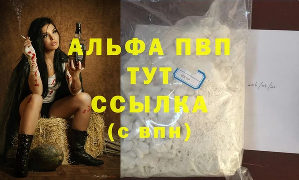 эйфоретик Гусев