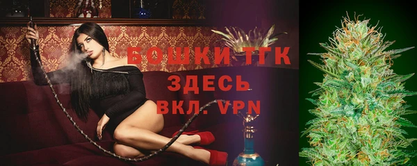 эйфоретик Гусев