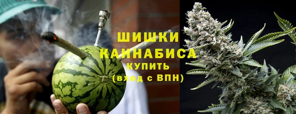 ГАЛЛЮЦИНОГЕННЫЕ ГРИБЫ Гусь-Хрустальный