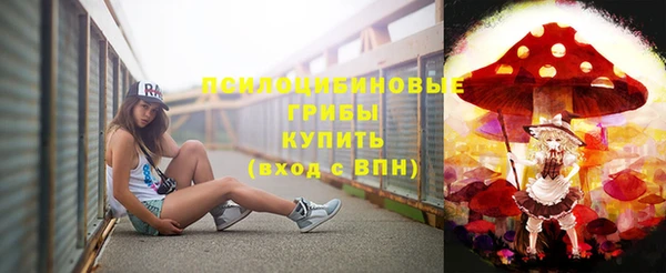 крисы Гусиноозёрск