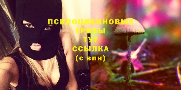 ГАЛЛЮЦИНОГЕННЫЕ ГРИБЫ Дмитровск